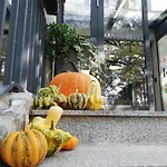 Therapia Hotel Pécs