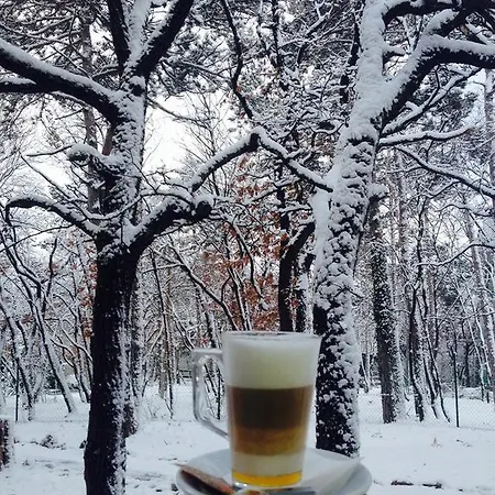 Therapia Pécs